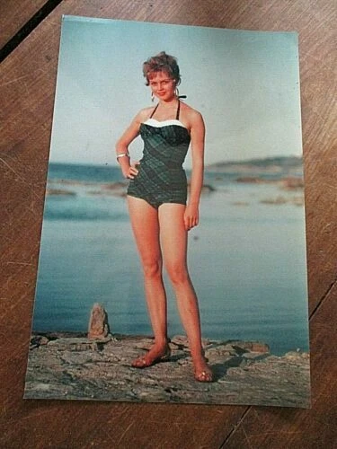 Photographies de chanteur et chanteuse de collection Brigitte Bardot