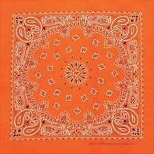 Carolina Creative Bandanna Neon Orange Paisley Print 22" x 22"