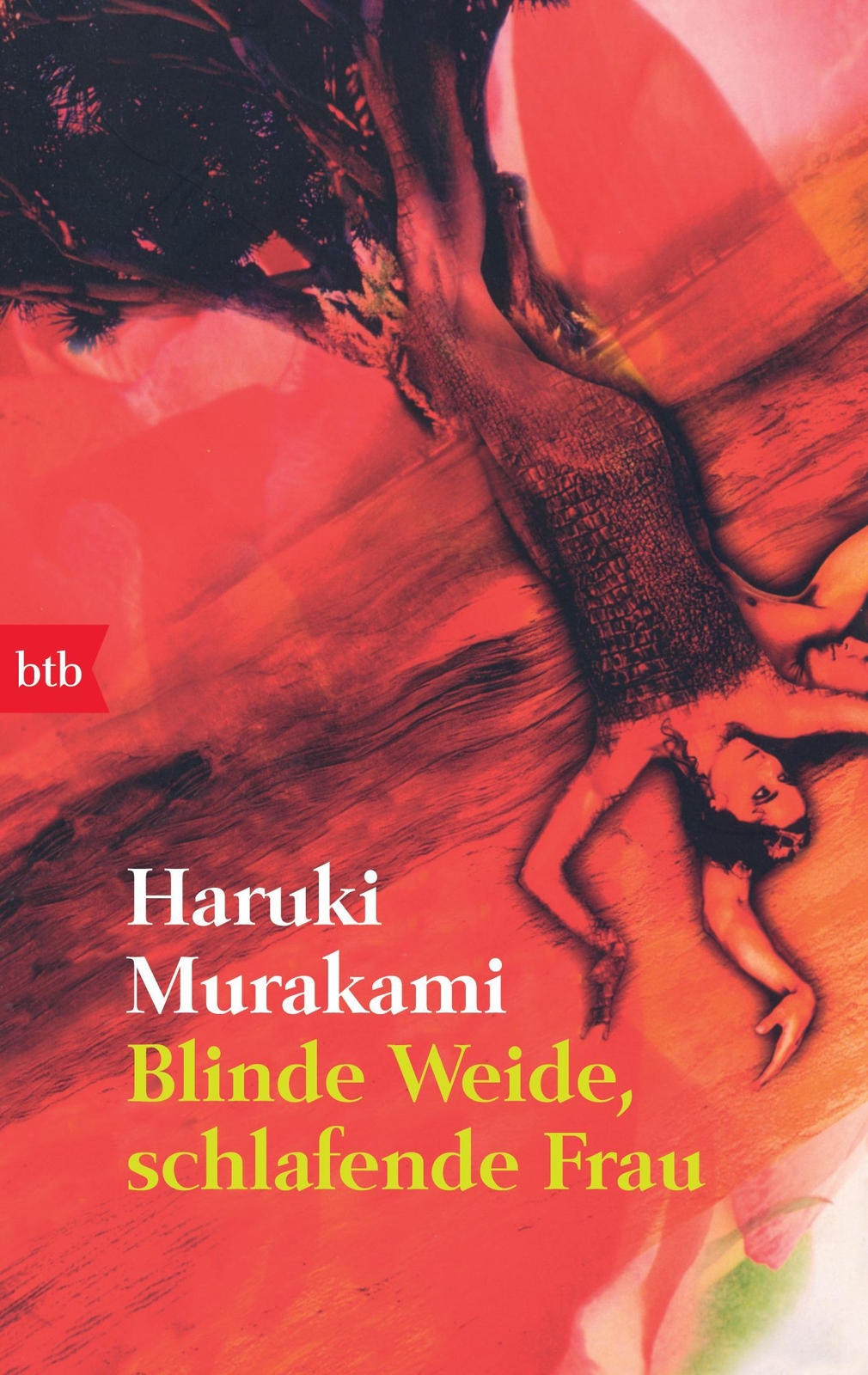 Thumbnail - Blinde Weide, Schlafende Frau Haruki Murakami