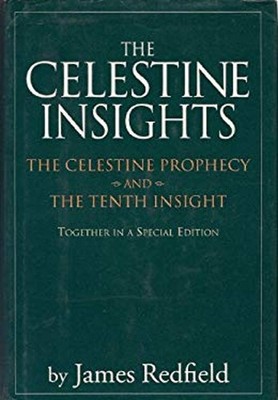 The Celestine Insights : The Celestine Prophecy and the 10th Insi