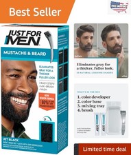 Jet Black Beard Dye with Brush   3 Applications in One Box  Natural Ingredients