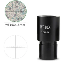 1PC Reticle Widefield 10X 23.2mm Eyepiece for Compound Biological Microscope