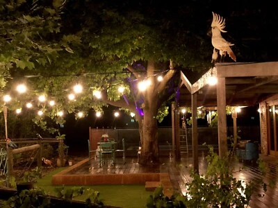 Festoon Lighting Home Garden Gumtree Australia Free Local Classifieds