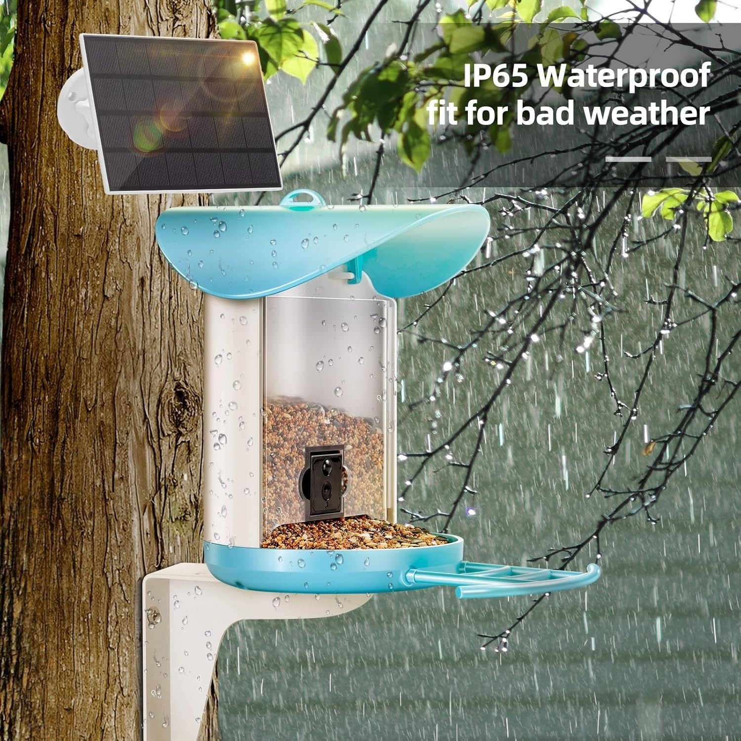 Smart Bird Feeder with 2K Live View Camera & AI Identify with Solar Panel
