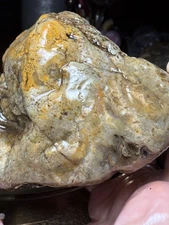 Lake Superior Agate Rough Lapidary Specimen 1lb 5oz Gem Moss Display