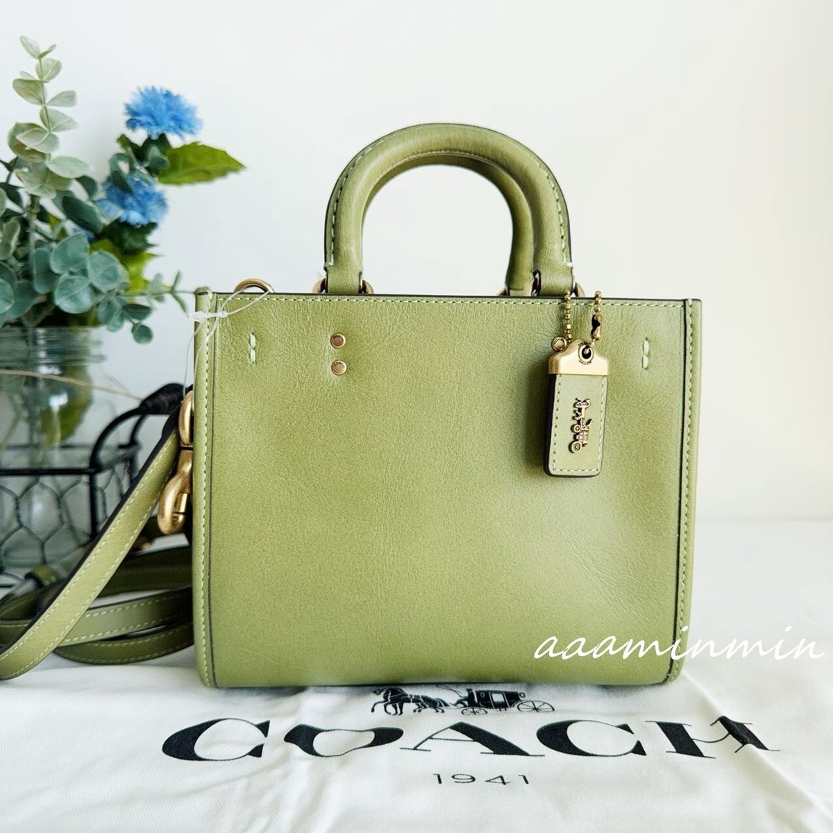 Coach Rogue 17 In Original Natural Leather in Colour Plant Green 