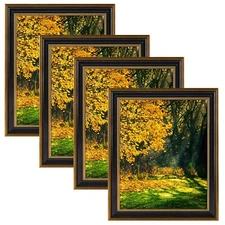16x20 Picture Frame Shatter Resistant Real Glass Black Ornate Gold 4 Pack