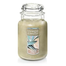 Yankee Candle Sage & Citrus Scented, Classic 22oz Large Jar Single Wick