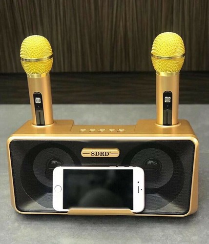 Dual Wireless Bluetooth Karaoke 