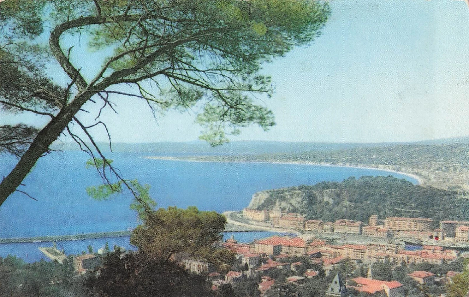 Photo 1/1