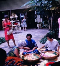 9x Stereo realist slides - Vintage Hawaii 1967 Kodachrome
