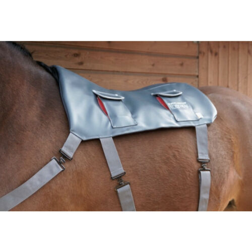 Equilibrium Therapy Massage Pad Pony