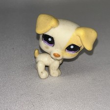 C1 HASBRO  LPS  ORIGINAL LITTLE PETSHOP PET SHOP CHIEN JACK RUSSEL  DOG # 1110