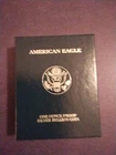 2002-W $1 AMERICAN SILVER EAGLE PROOF  1 oz .999 GEM PROOF w/OGP & COA