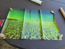 Pink Floyd Green Pyramids Dark Side of the Moon Album insert Poster