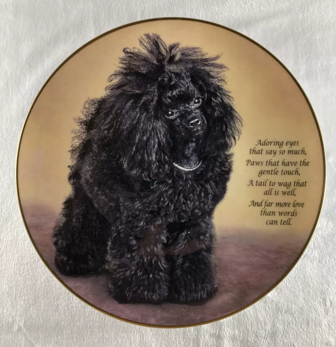 Poodle luv toy poodles cheap