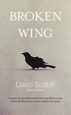Broken Wing - Paperback By Budbill, David - GOOD
