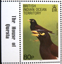 BRITISH INDIAN OCEAN TERRITORY 1990 SG100 80p. BIRDS - COMMON MYNAH -  MNH