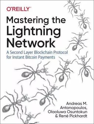 Oreilly Mastering The Lightning Netzwerk Taschenbuch n364