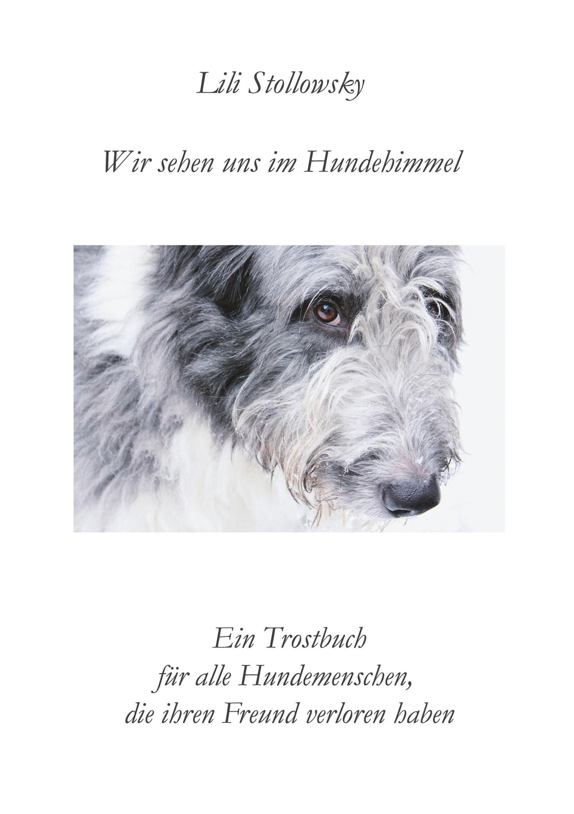 Thumbnail - Lili Stollowsky | Wir Sehen Uns Hundehimmel | Taschenbuch | Deutsch