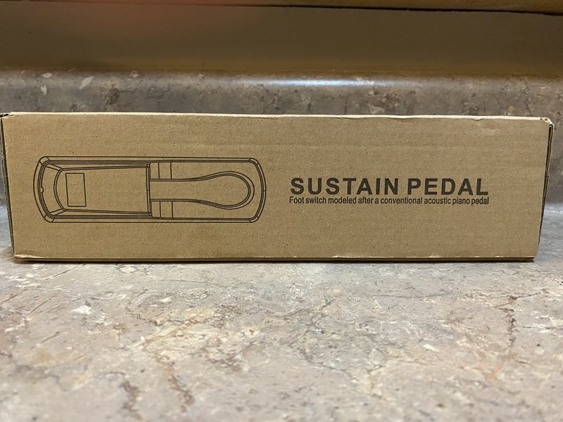 Universal Sustain Pedal with Polarity Switch for Digital Keyboards And Pianos