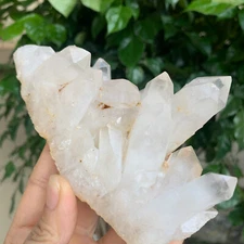 387G Natural Clear White Quartz Crystal Cluster Rough Healing Specimen
