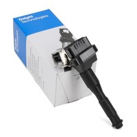 Delphi ZüNdspule FüR Bmw E36 E46 E39 E38 X5 E53 Z3 E36 Z8 E52 M50 M52 M54 S50
