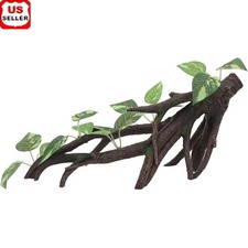 Reptile Branch Terrarium Habitat Decoration Climbing Crested Gecko Lizard Snake