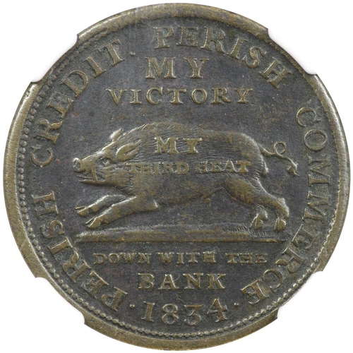 1834 Hard Times Token, HT-12, Scarce R-5, NGC XF, Running Boar, Brass