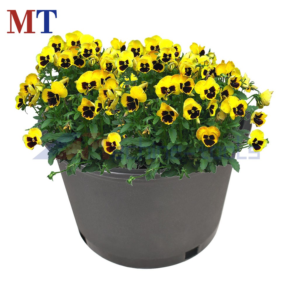 10 Pack Short 2 Gallon Black Plant Flower Pot Nursery Container Premium