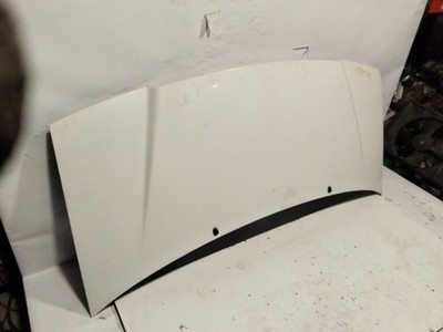 haube  PEUGEOT EXPERT KOMBI CONFORT ACRISTALDO 8 ASIENTOS 1995 1771701