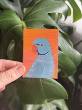 ACEO original Bird Gouache Painting Indian Ring Neck SamShoemaker.art