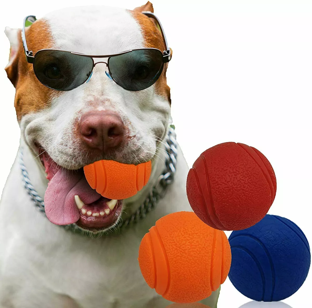 Solid hotsell dog ball