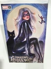 Amazing Spider-Man #1 2025 Nathan Szerdy Exclusive Variant High Grade
