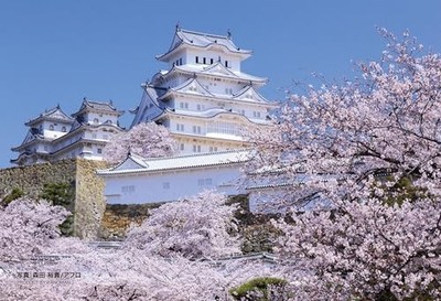Yanoman [Hergestellt in Japan] 70-teiliges Puzzle Prisma Art Petit Himeji Castle