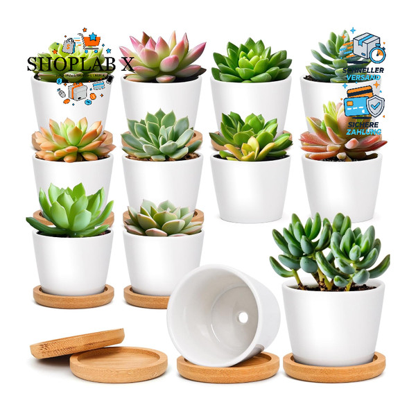 Keramik BlumentöPfe Mini TöPfe Mit Untersetzer Runde Weiß 12Er Set Sukkulenten-image