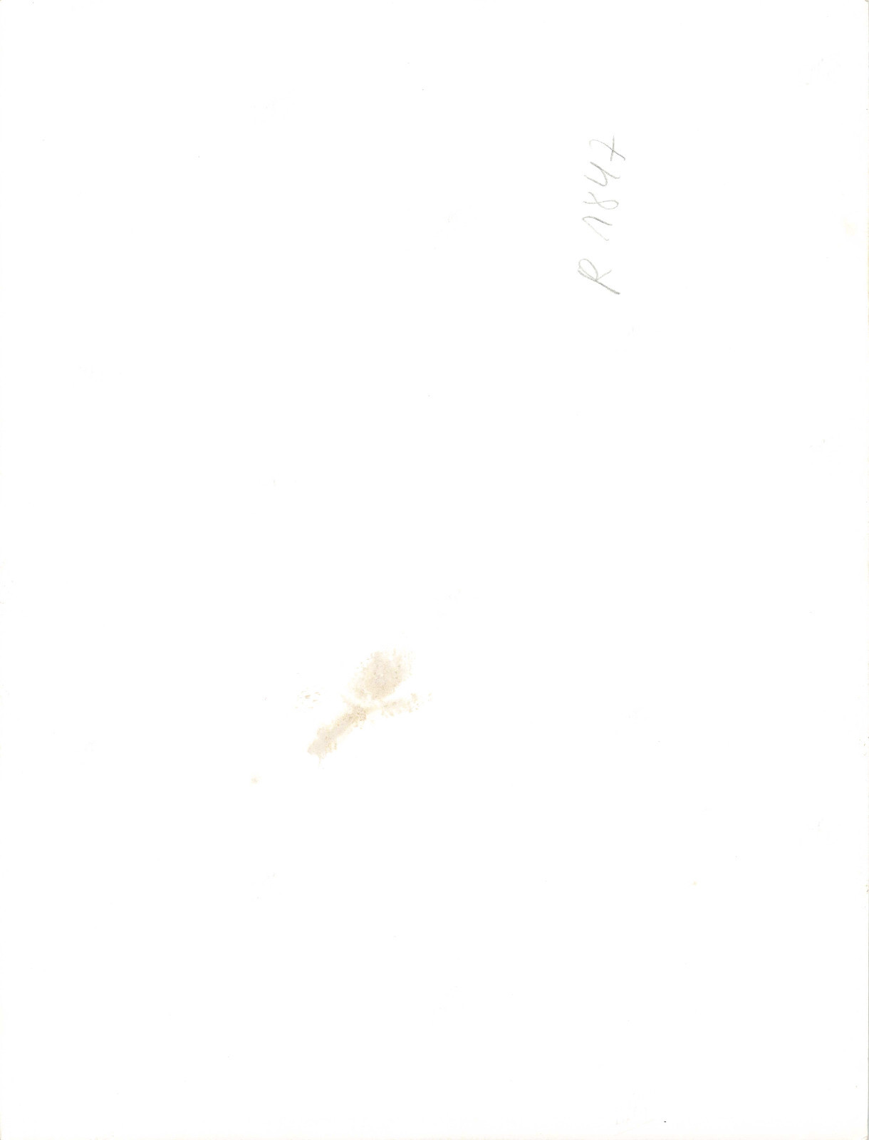 Bild 13 von 13