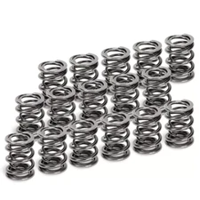Supertech Dual Valve Springs Acura Honda B-Series B16A B17A B18C DOHC VTEC NEW