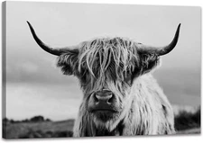 Highland Cow Wall Art Canvas Print Black and White Animal 12x16 inch Cow 02