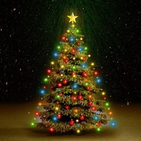 Weihnachtsbaum-Lichternetz Mit 150 Leds Mehrfarbig 150 Cm