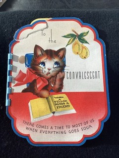 Vintage spiral Bound Cats Kitten Storybook Greeting Card Antique Novelart