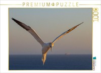 Calvendo Puzzle Northern Gannet In Flight | 1000 Pieces, Finished Size 25.2 × 18