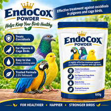 Endocox Powder For Coccidiosis Treatment in Pigeons and Birds 100 grams