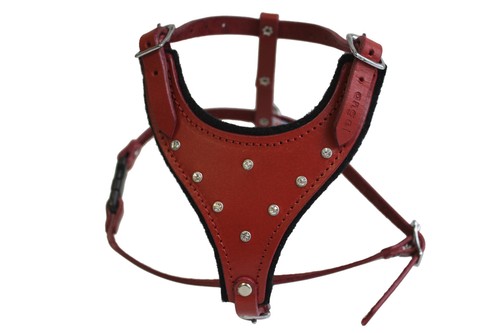 ANGEL Malibu Dog Harness Genuine Leather Rhinestones XS S M - Picture 7 of 7
