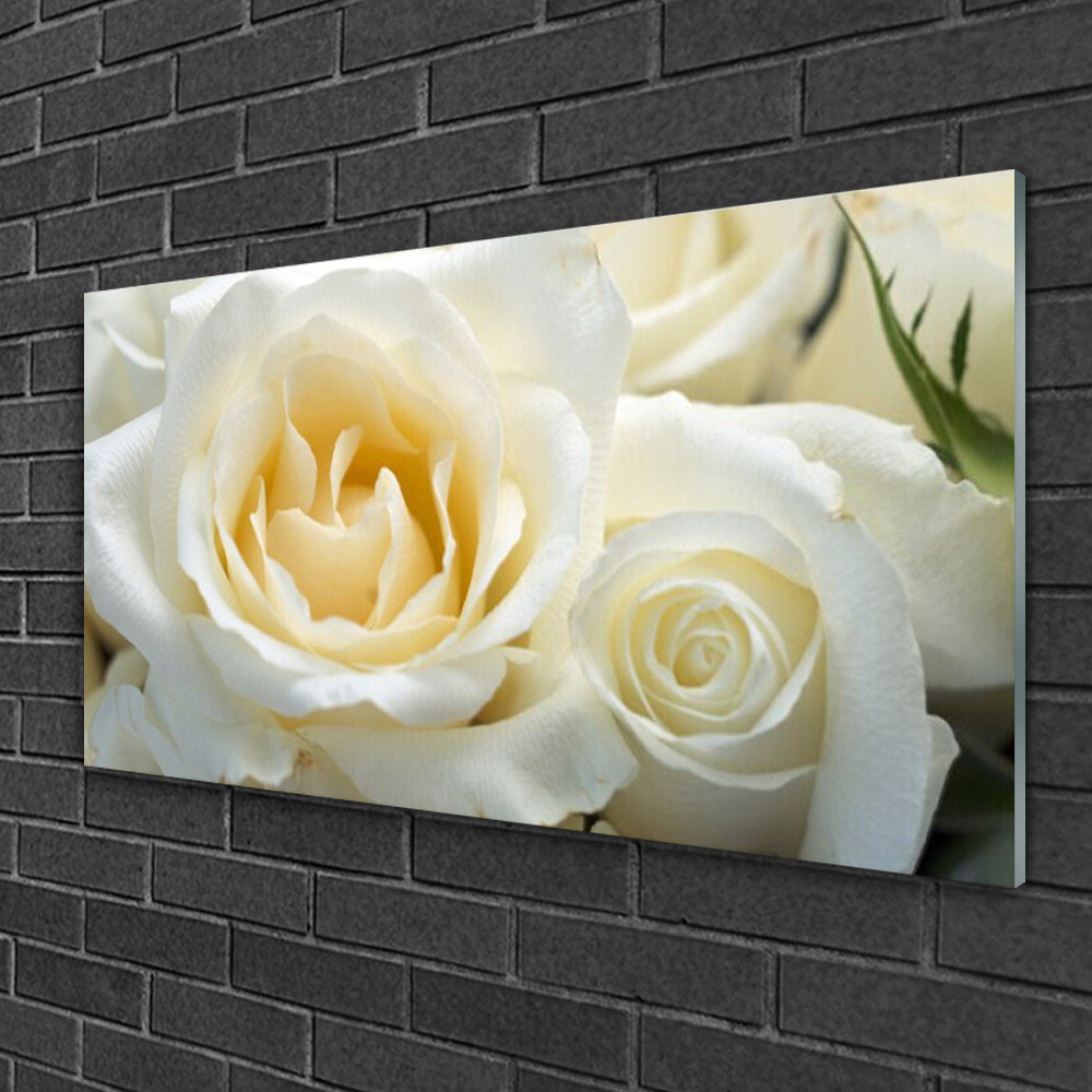 Impression sur verre brillant motif floral roses 100x50 décoration murale luxe