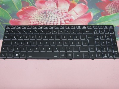 Original Tastatur Wortmann Terra Mobile Gamer Elite 5 v2 - kein led per key !!!