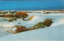 White Sands National Monument New Mexico Postcard NM