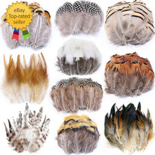 200Pcs 10 Style Natural Feathers Assorted Mixed Feathersfor Dream Catcher Crafts