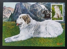 Carte  Premier Jour Timbre Montagne Pyrénées N° 3285  Gennevilliers 1999