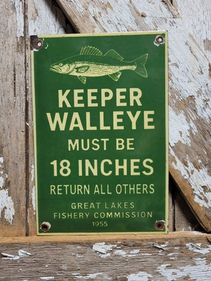 #ad VINTAGE GREAT LAKES PORCELAIN SIGN OLD 1955 FISHERY COMMISSION WALLEYE FISHING $232.95